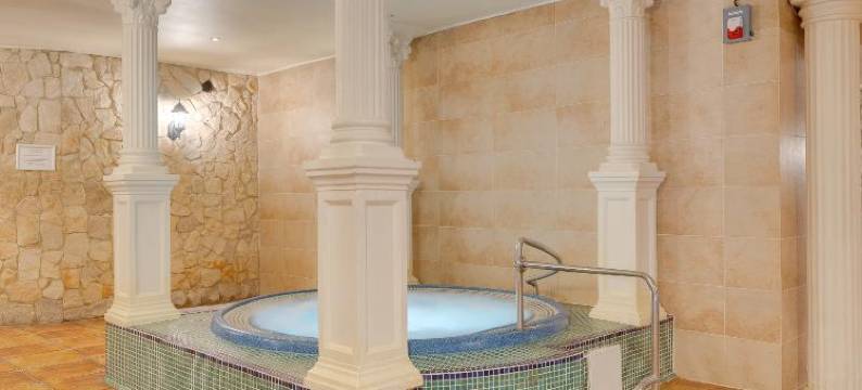 卡托维兹阿森纳宫钻石酒店 - 霍茹夫(Hotel Diament Arsenal Palace Katowice - Chorzów)图片