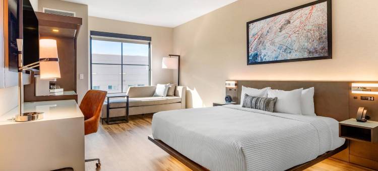 坎布里亚酒店-纽黑文大学区(Cambria Hotel New Haven University Area)图片