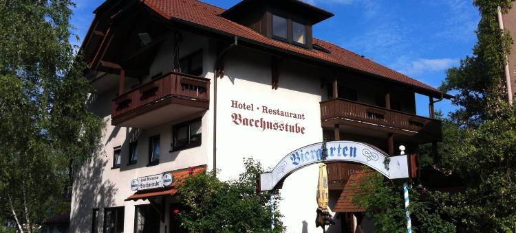 巴乔斯特比加尼酒店(Hotel Bacchusstube Garni)图片