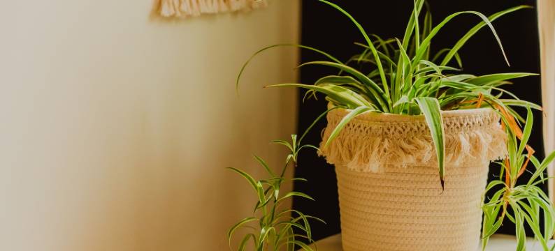 城市生活之心可爱波希米亚出租公寓(Lovely Bohemian Apartment in Heart of City Life)图片