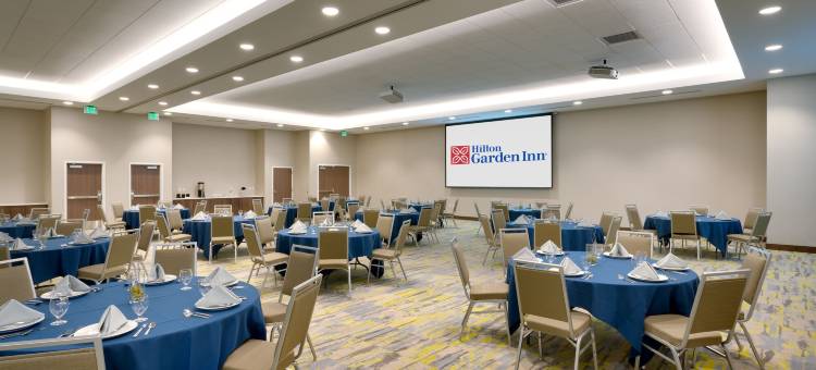 博伊西市中心希尔顿花园酒店(Hilton Garden Inn Boise Downtown)图片