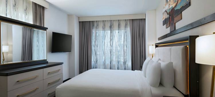 奥斯汀市中心万枫套房酒店(Fairfield Inn & Suites Austin Downtown)图片