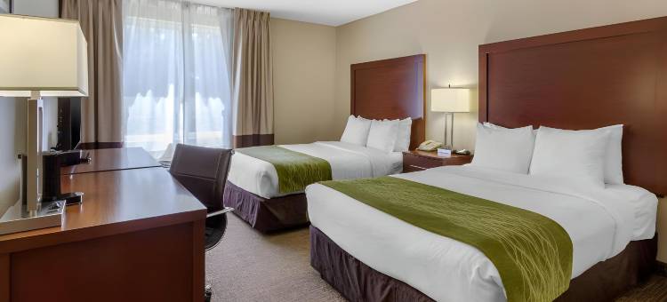 北圣彼得堡舒适酒店(Comfort Inn St Petersburg North)图片