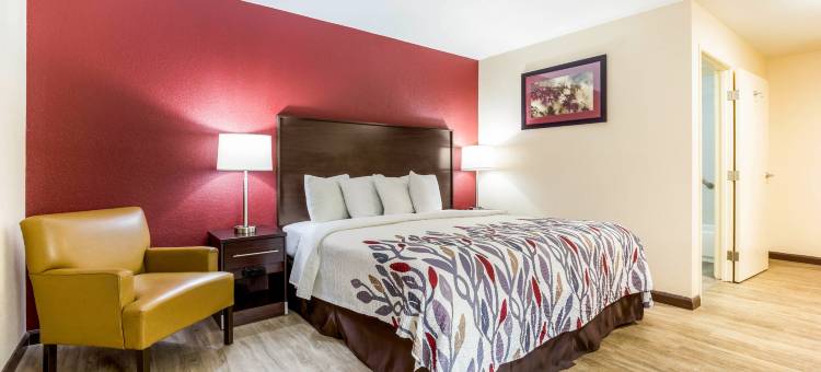 红顶酒店-德里里奇(Red Roof Inn Dry Ridge)图片