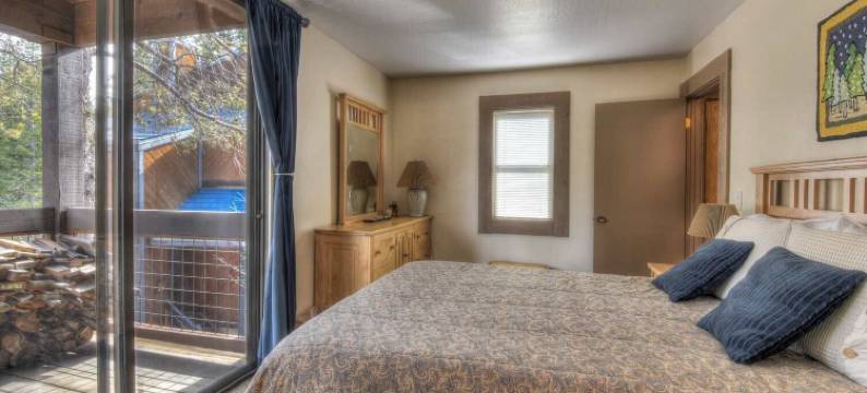 银树庇护所，在白杨树林中(Silver Tree Sanctuary in Aspen Grove!)图片