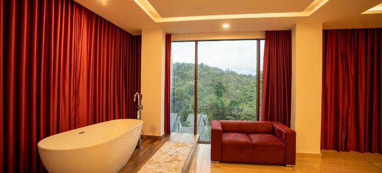 Serene Horizon图片