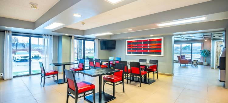 康福特酒店(Quality Inn)图片