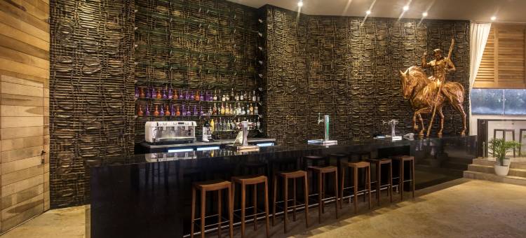 Platinum Yucatan Princess Solo Adultos -Todo Incluido图片