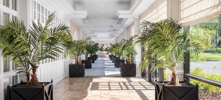 奥卡拉银泉希尔顿酒店(Hilton Ocala)图片