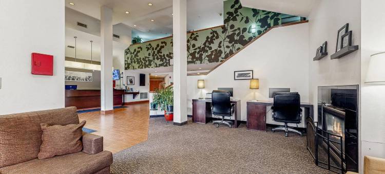 布法罗机场舒眠套房酒店(Sleep Inn & Suites Buffalo Airport)图片