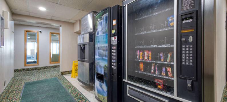 勃艮第酒店及套房(Burgundy Inn & Suites)图片