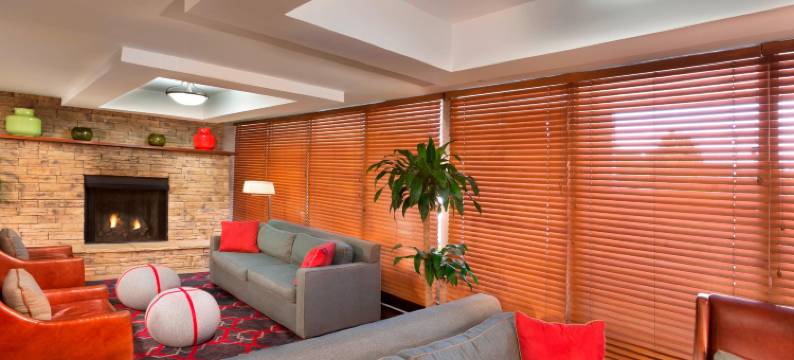 阿什维尔市中心福朋喜来登酒店(Four Points by Sheraton Asheville Downtown)图片