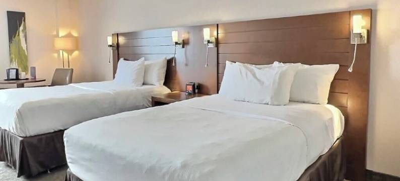 鲁安诺兰达品质酒店(Quality Inn Rouyn-Noranda)图片