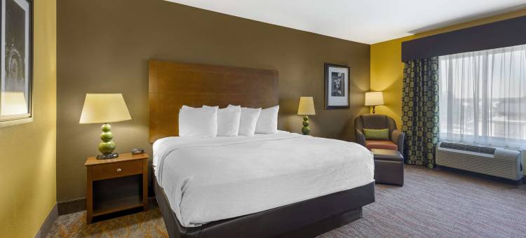 图珀洛贝斯特韦斯特优质套房酒店(Best Western Plus Tupelo Inn  Suites)图片