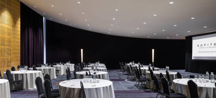 芝加哥壮丽大道索菲特酒店(Sofitel Chicago Magnificent Mile)图片