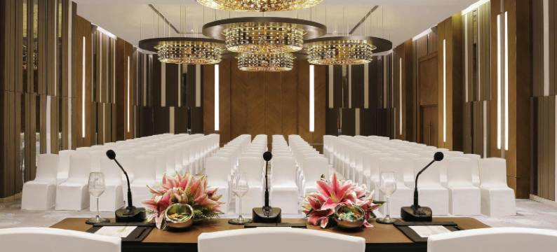 古瓦哈蒂GS路诺富特酒店(Novotel Guwahati GS Road)图片