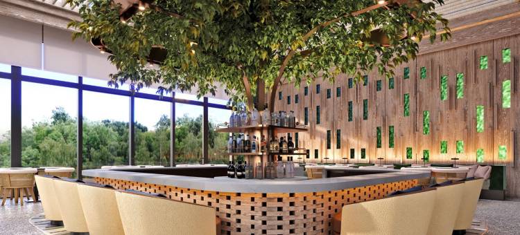 希尔顿伊斯坦布尔机场酒店(Hilton Istanbul Airport)图片