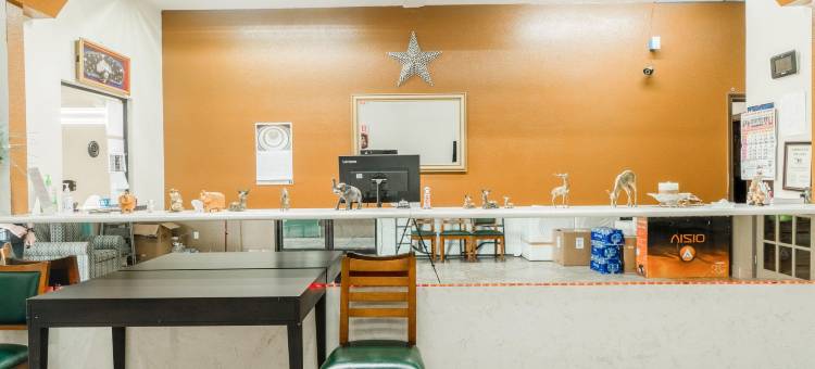 OYO 哈灵根德克萨斯州孤星旅馆及套房(Lone Star Inn & Suites by OYO Harlingen TX)图片