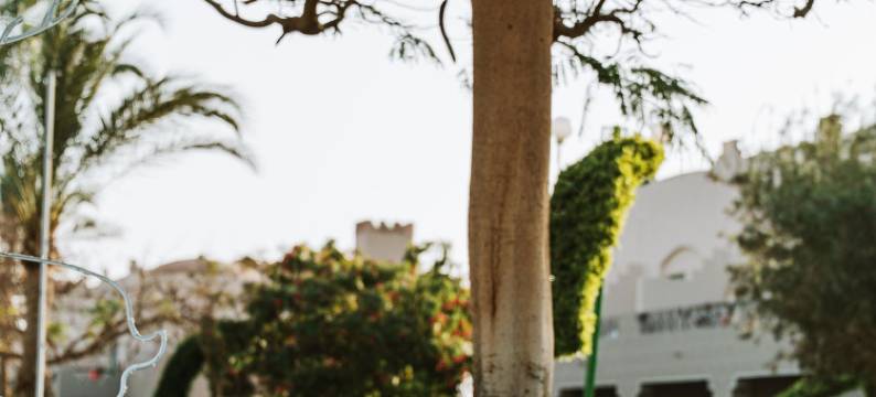 Sentido Akassia海滩(Sentido Akassia Beach)图片