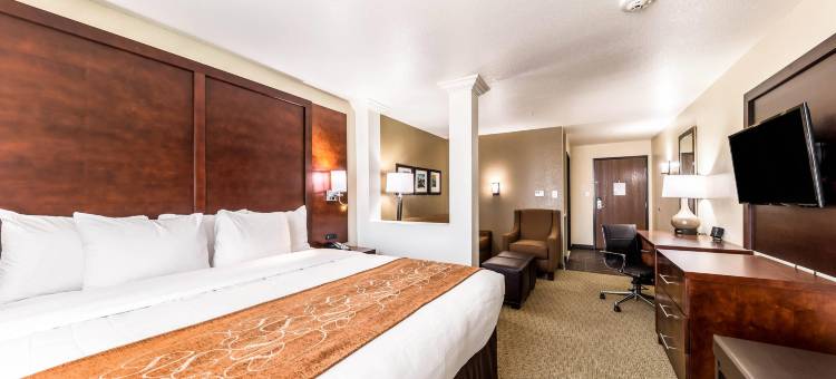 大草原城阿灵顿北部舒适套房酒店(Comfort Suites Grand Prairie - Arlington North)图片