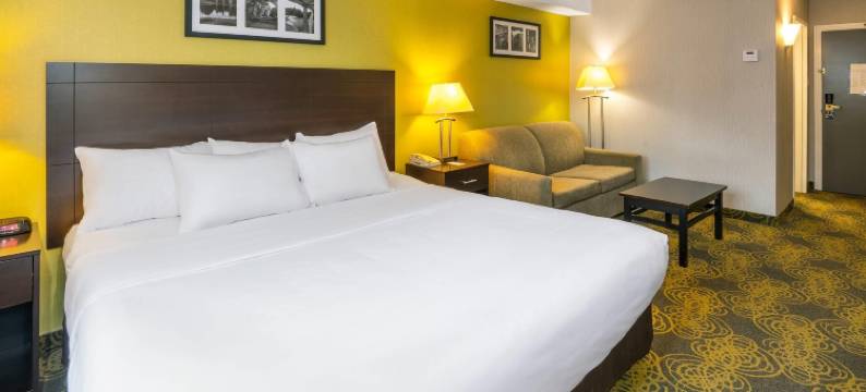 舒适套房酒店(Comfort Hotel & Suites)图片