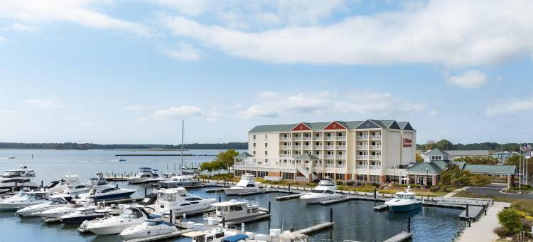 肯特岛希尔顿花园酒店(Hilton Garden Inn Kent Island Marina)图片