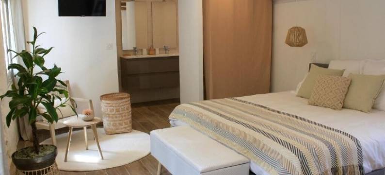 瓦松之家(La Maison de Vaison)图片