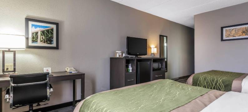 克里夫兰机场舒适酒店(Comfort Inn Cleveland Airport)图片