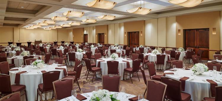 圣安东尼奥机场希尔顿逸林酒店(DoubleTree by Hilton San Antonio Airport)图片