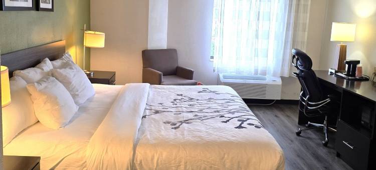 I-90 及阿什塔比拉区舒眠套房酒店(AUSTINBURG HOTEL by IHG)图片