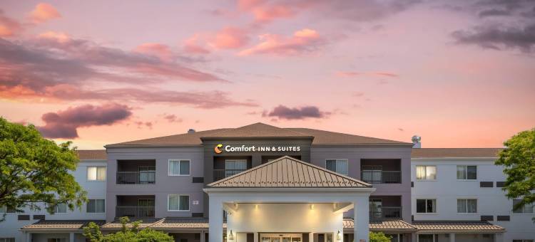 康福特套房酒店(Comfort Inn & Suites)图片