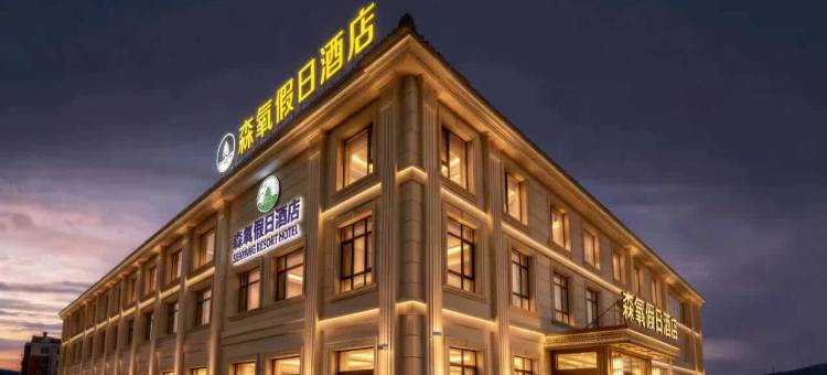 伊春森氧假日酒店(兴安国家森林公园伊春夜市店)图片