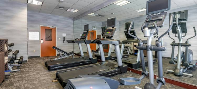 万枫塔彭斯普林斯霍勒德酒店及套房(Fairfield Inn & Suites Holiday Tarpon Springs)图片