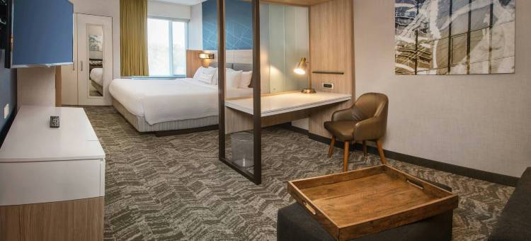 盖恩斯维尔干草市场SpringHill Suites酒店(SpringHill Suites Gainesville Haymarket)图片