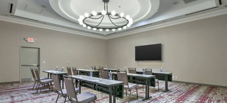 达拉斯阿林顿希尔顿花园酒店(Hilton Garden Inn Dallas/Arlington)图片