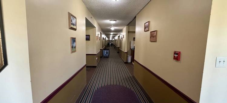 印第安纳罗克维尔皇家酒店by Hotel O(Royal Inn Rockville in by Hotel O)图片