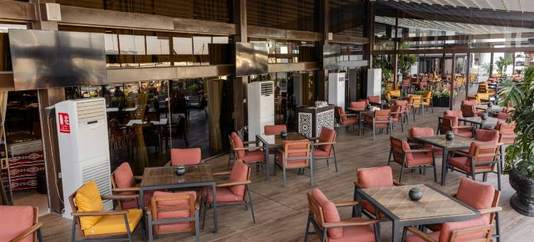巴比伦罗塔娜酒店(Babylon Rotana Hotel)图片