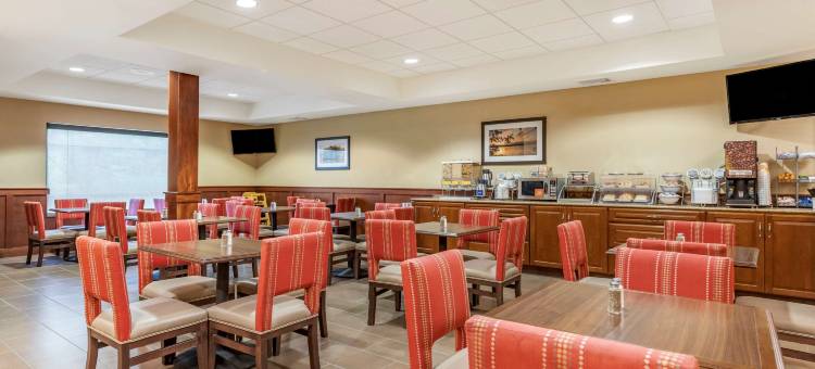 舒适套房酒店-大急流城北(Comfort Suites Grand Rapids North)图片