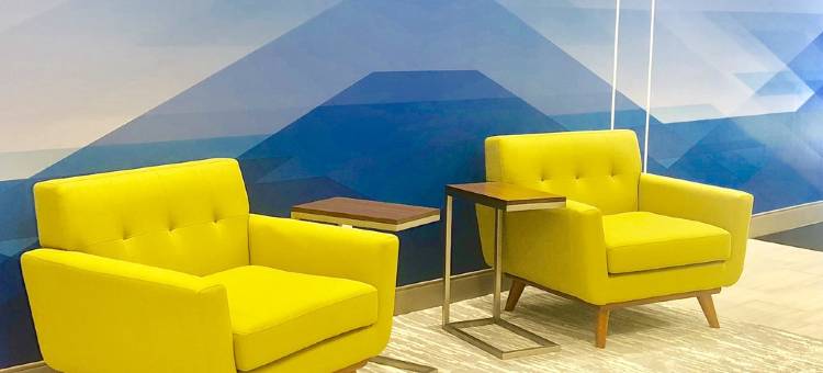 布赖尔河罗利机场智选假日套房酒店(Holiday Inn Express & Suites Raleigh Airport - Brier Creek)图片