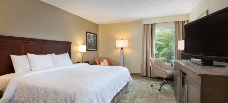 休斯顿希尔顿欢朋酒店-近购物中心(Hampton Inn Houston-Near the Galleria)图片