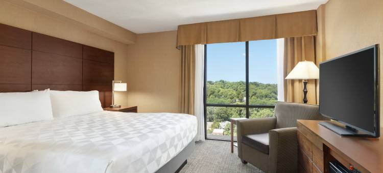 Holiday Inn 国家机场/水晶城(Holiday Inn National Airport/Crystal City)图片