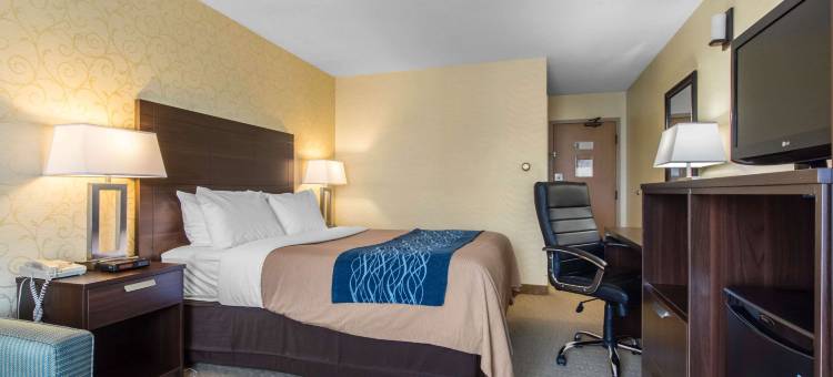 舒适酒店(Comfort Inn)图片