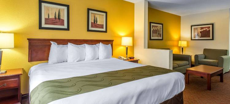 南蒙哥马利凯艺酒店(Quality Inn Montgomery South)图片