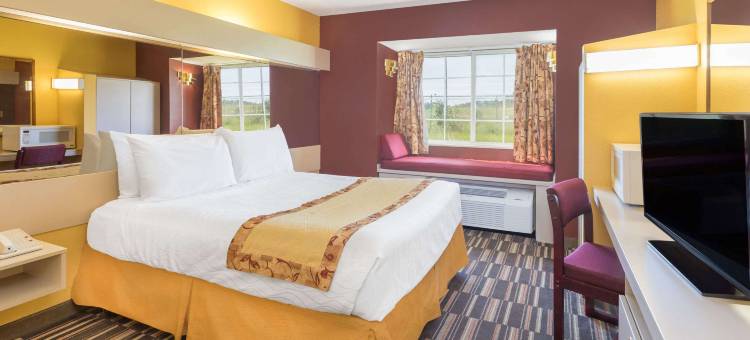 麦克道尔-塔斯卡卢萨麦客达套房酒店(Microtel Inn & Suites by Wyndham Tuscaloosa – East)图片