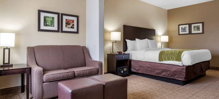 斯科特 - 西拉法叶舒适套房酒店(Comfort Inn & Suites Scott-West Lafayette)图片