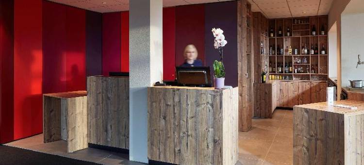 科尔玛诺多宜必思尚品酒店(Ibis Styles Colmar Nord)图片