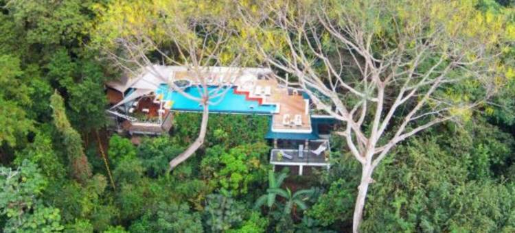 玛坎达海边酒店 - 限成人入住(Makanda by the Sea Hotel Adults Only)图片