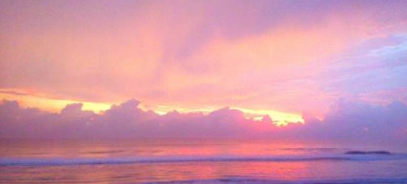 斯利兰卡谢尔招待所(Sri Lancashire Guest House)图片