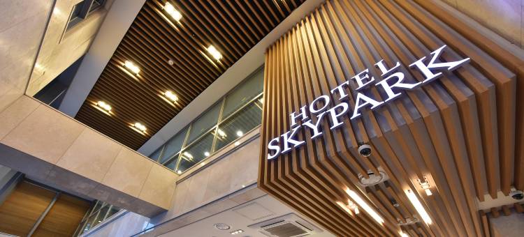 天空花园酒店东大门1号店(Hotel Skypark Dongdaemun I)图片