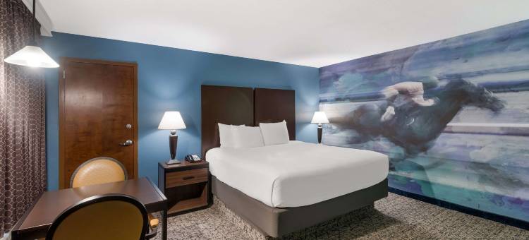 胜者圈贝斯特韦斯特酒店(Best Western Winners Circle)图片